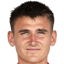 بولستر